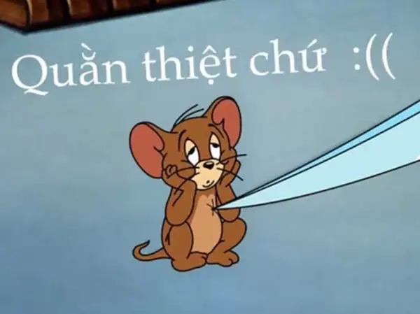 meme chuột jerry buồn 2