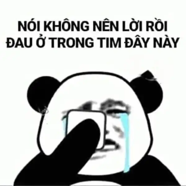 ảnh meme đau ở đây này gấu trúc