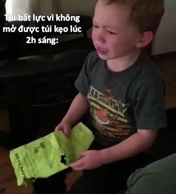 meme mặt bất lực khóc 3