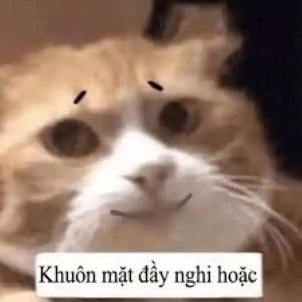 meme đầy nghi ngờ