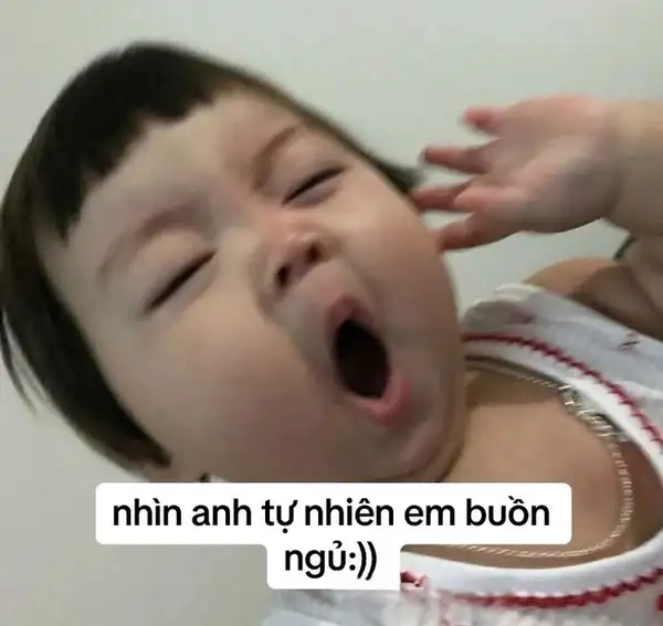 meme ngáp dễ thương