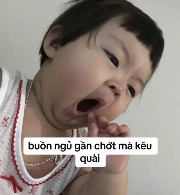 meme ngáp gần chớt