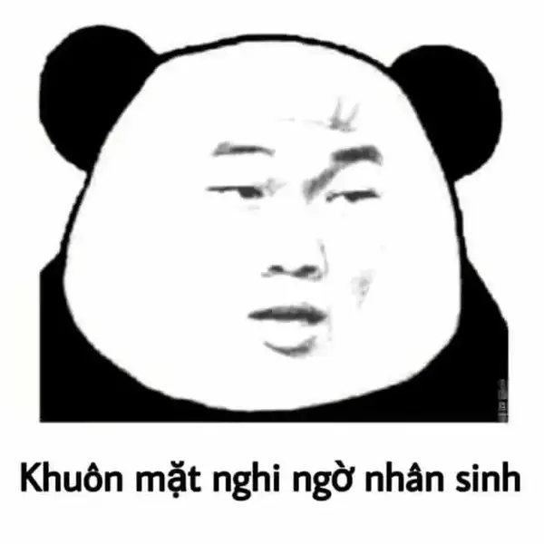 meme mặt nghi ngờ nhân sinh