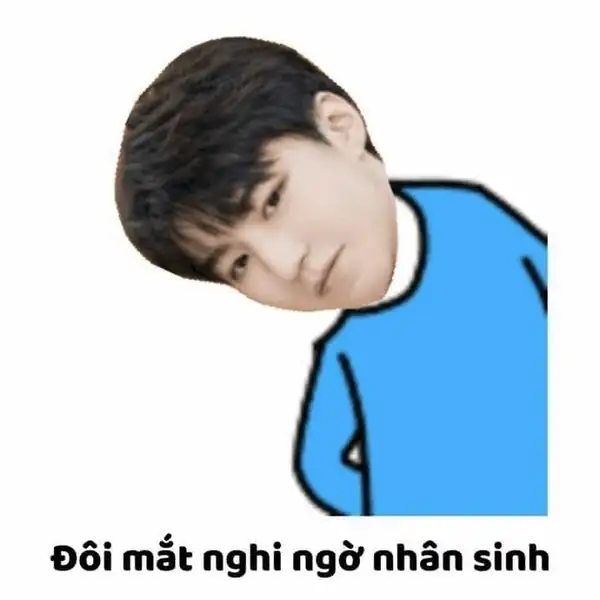 meme ánh mắt nghi ngờ nhân sinh