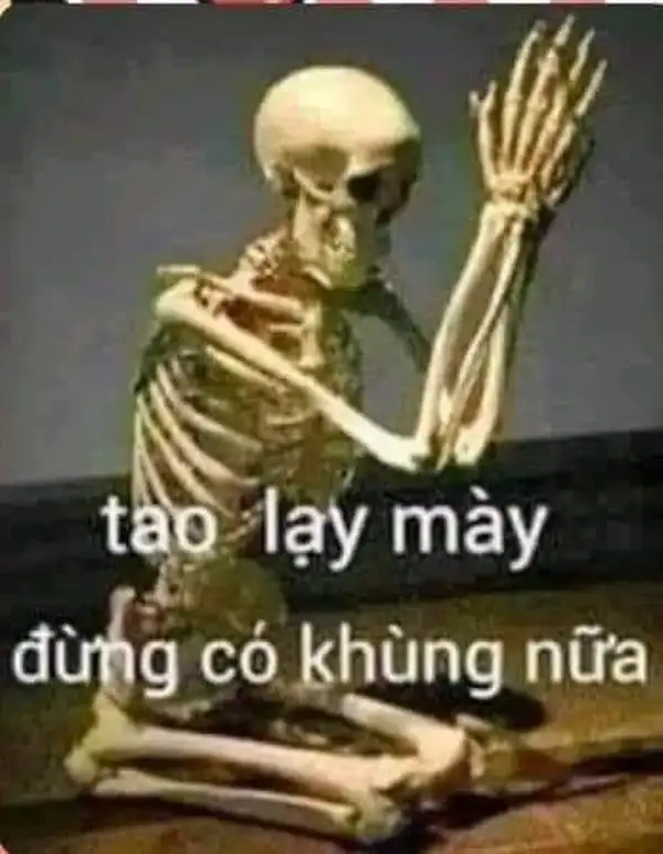 meme quỳ gối lạy đừng khùng nữa