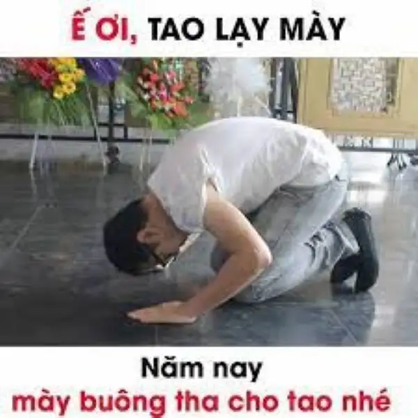 meme quỳ lạy dập đầu