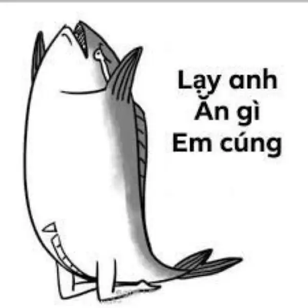 meme quỳ xuống con cá