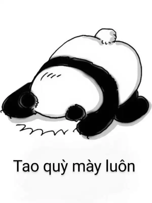 em lạy chị meme gấu trúc cute