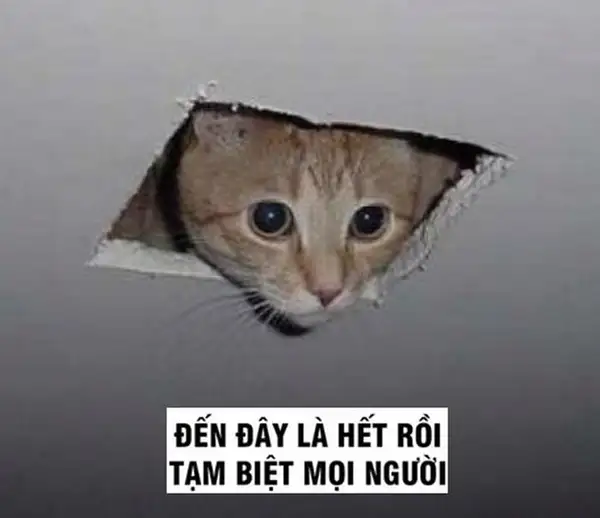 meme tạm biệt mọi người