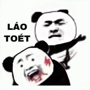List 202+ ảnh meme tát vào mặt, meme ăn tát SML thức tỉnh đi