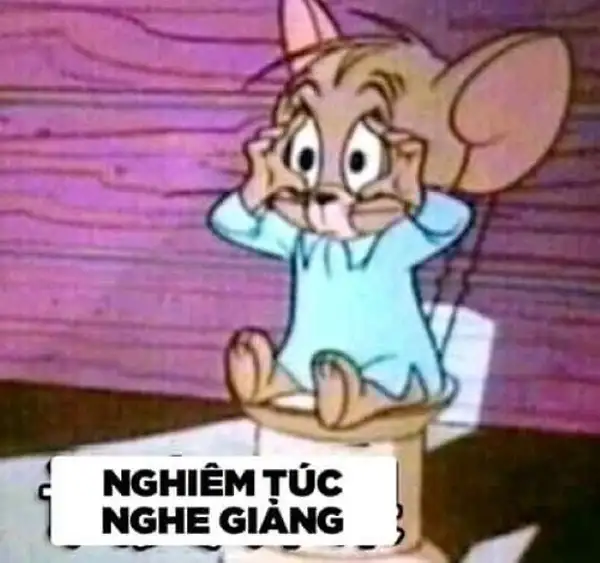 meme tom jerry đi học