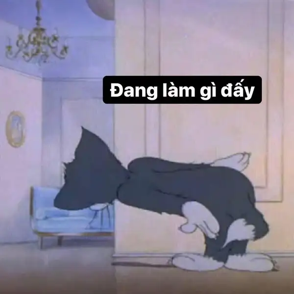 meme tom jerry tò mò 2