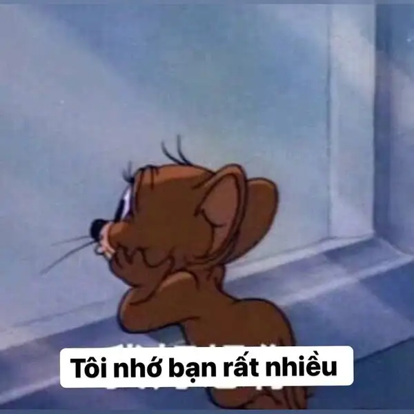 meme tom jerry yêu đương