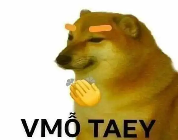 meme vỗ tay con chó