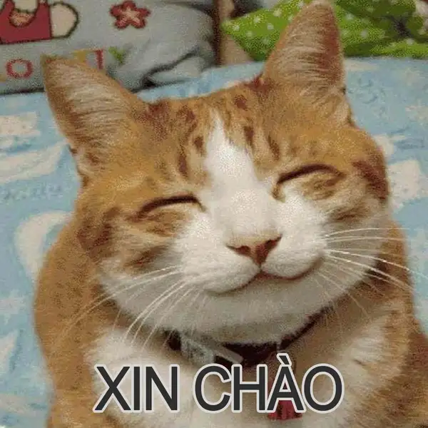 meme xin chào hài hước 2