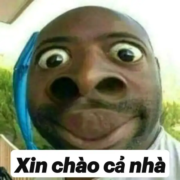 meme xin chào anh da đen