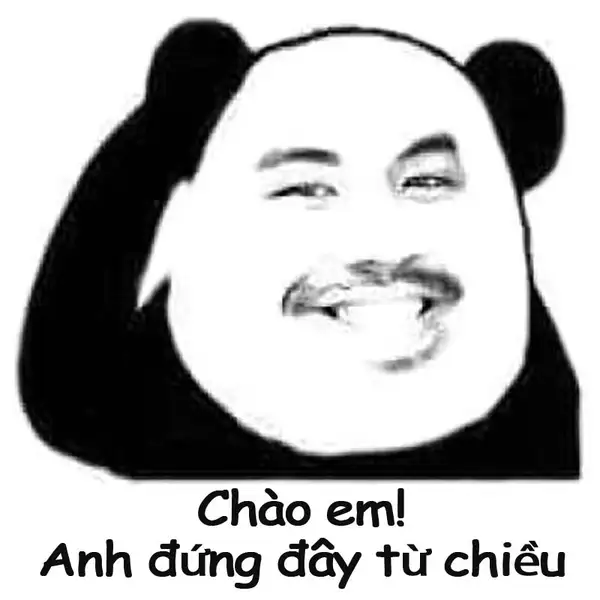 meme xin chào em gấu trúc