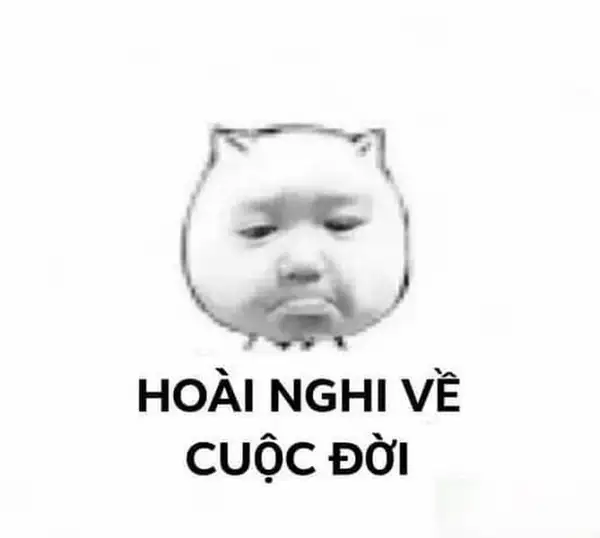 nghi ngờ cuộc đời meme