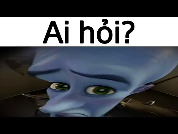 meme ai hỏi