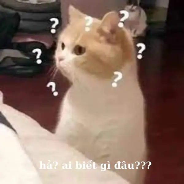 meme ai mà biết được mèo cute