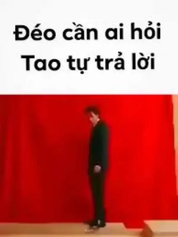 meme ai hỏi tự trả lời