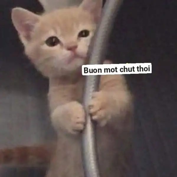 meme buồn bã một chút