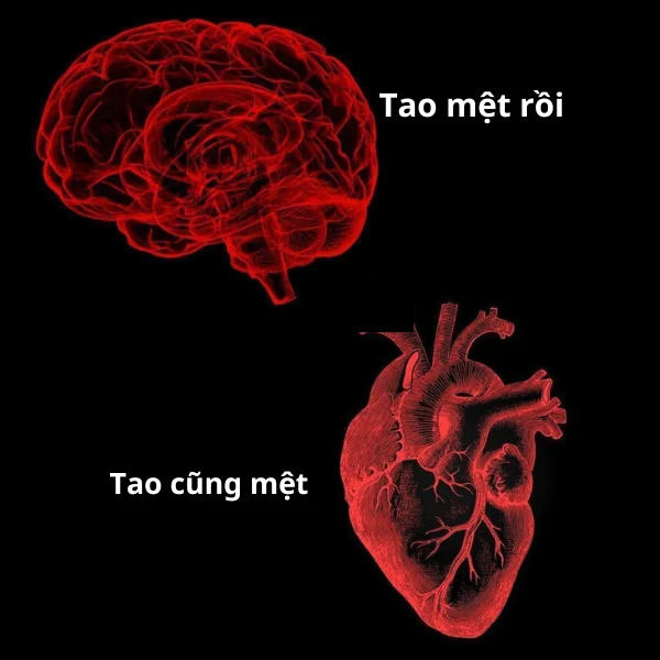 ảnh meme mệt quá rồi