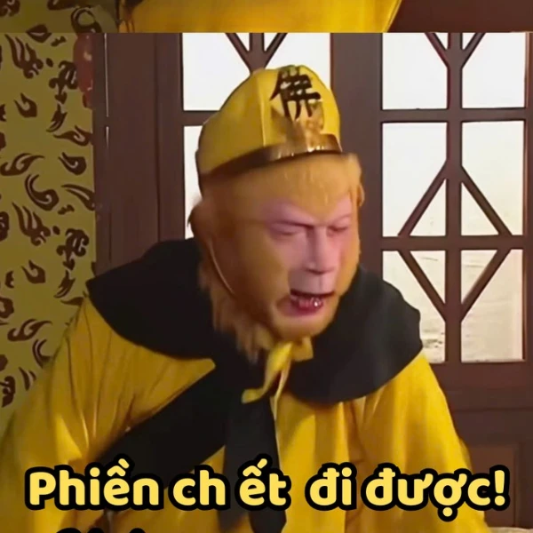 ảnh meme tôn ngộ không hot trend