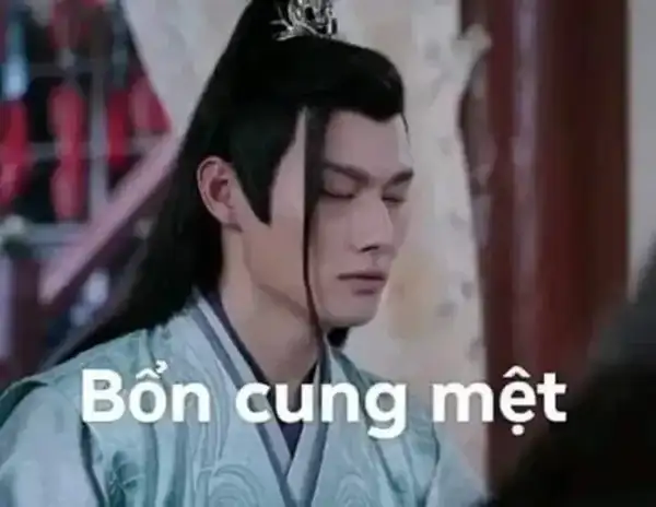 meme bổn cung mệt