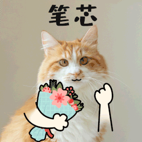 ảnh gif mèo thả tim