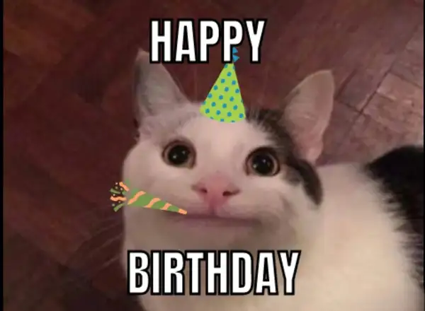 meme happy birthday