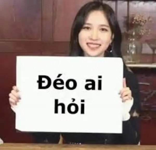 meme đéo ai hỏi