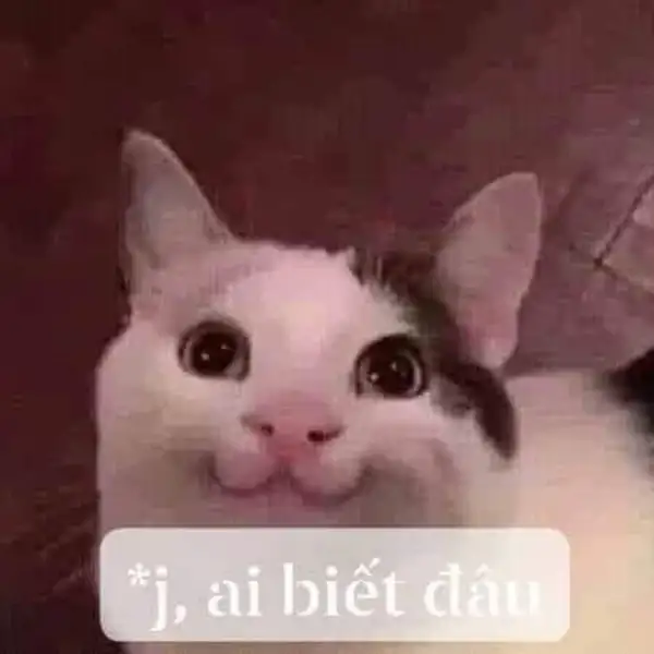 meme ai mà biết được vô tri