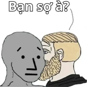 Sưu tầm nay 201+ ảnh meme bạn sợ à hài hước, nhột đến tận óc