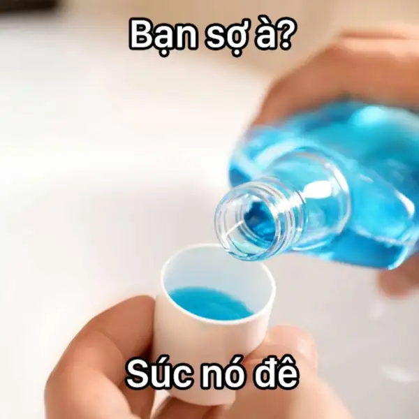 bạn sợ à súc nó đê meme 