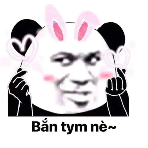 meme gấu trúc bắn tim nè