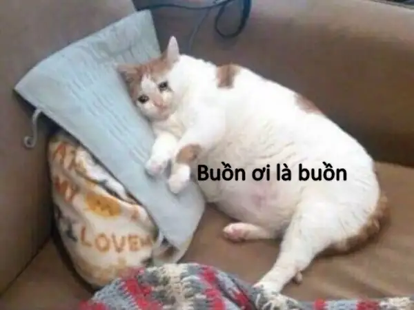 ảnh meme buồn ơi là buồn