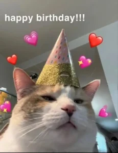 Tổng hợp 245+ meme Happy Birthday siêu vui nhộn và lầy lội