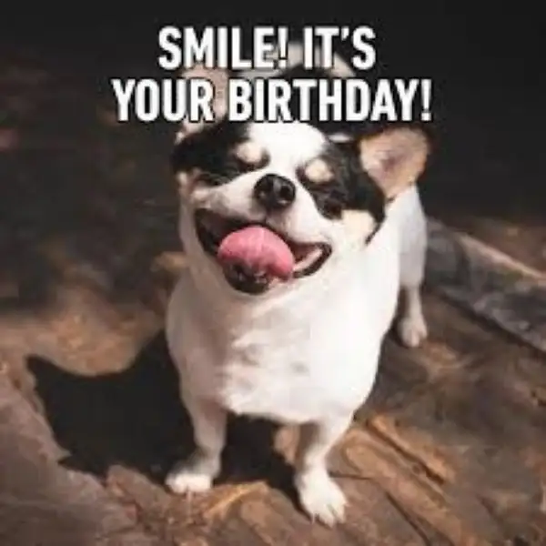 meme hpbd smile