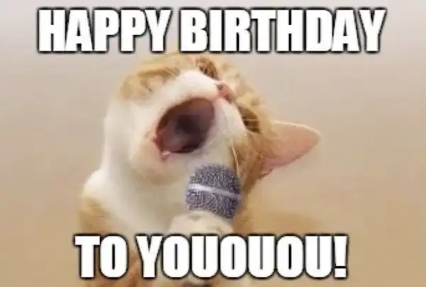 meme happy birthday to youuuuuu