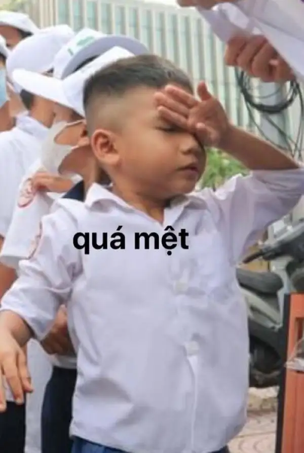 meme quá mệt mỏi