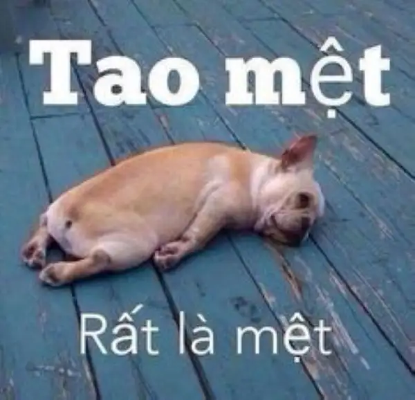 tao mệt meme