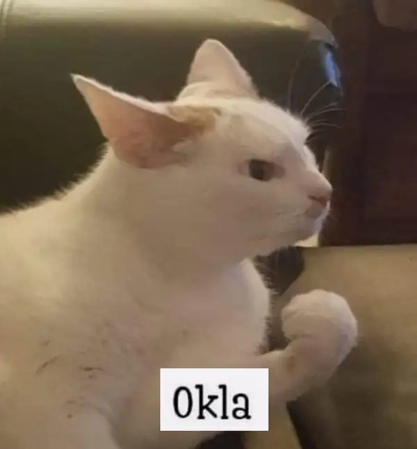 meme okia