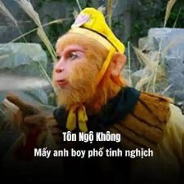 meme tôn ngộ không boy phố