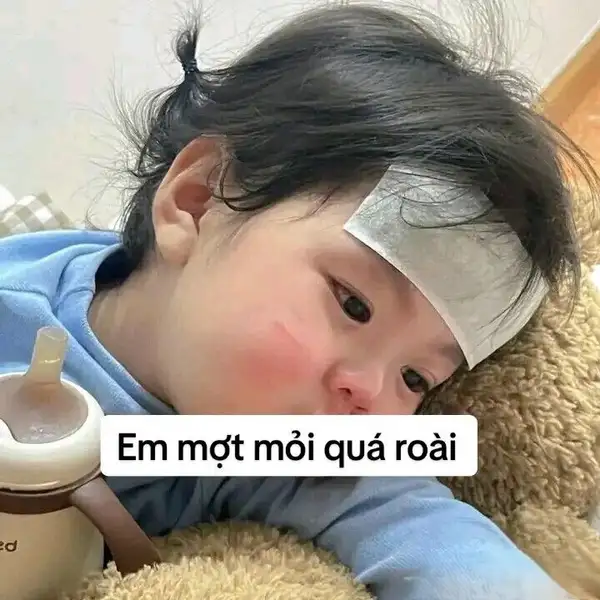 em quá mệt mỏi rồi meme