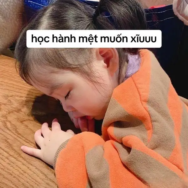 meme mệt muốn xỉu