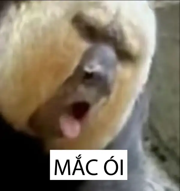 meme mắc ói