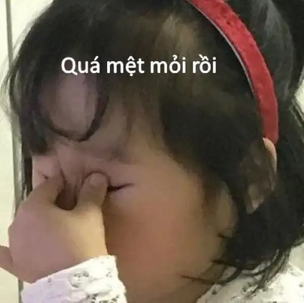 quá mệt mỏi rồi meme