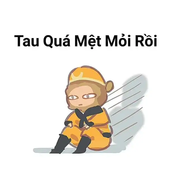 meme ngộ không mệt mỏi