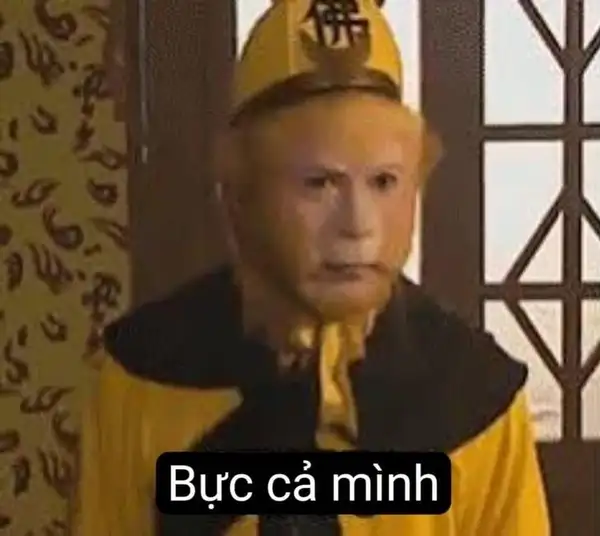 meme tôn ngộ không bực cả mình